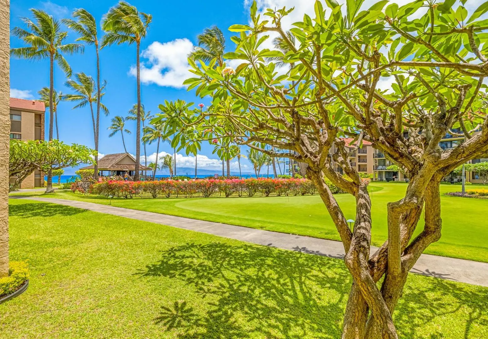 Papakea K-105 Apartment Kahana 0*,